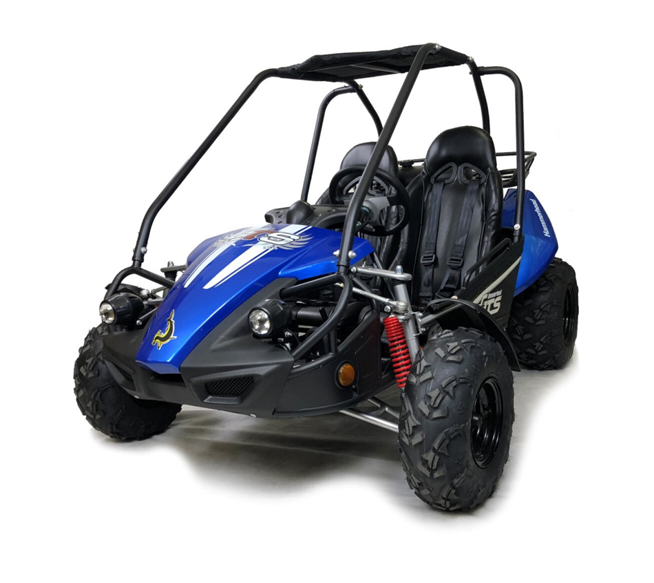 hammerhead-gts150-off-road-buggy-blue-front-side-view