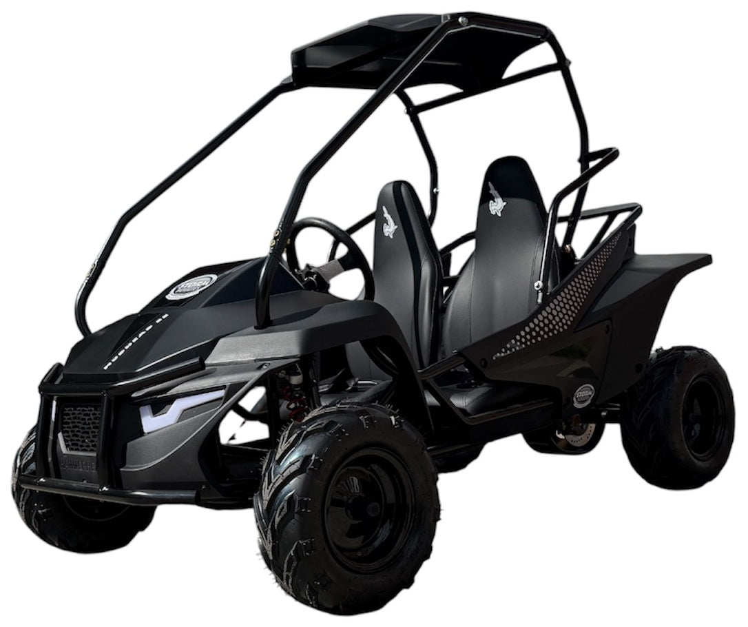 Hammerhead Mudhead SE- Kids Off Road Buggy- BLACK