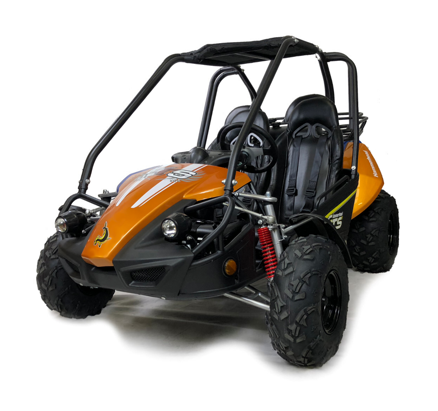 Buggies orange hot sale