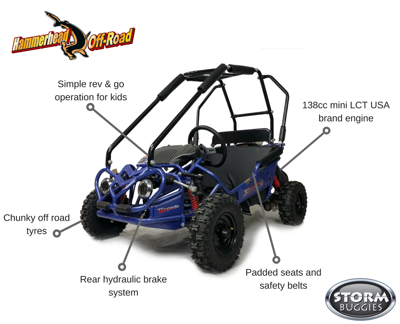 Storm top buggies parts