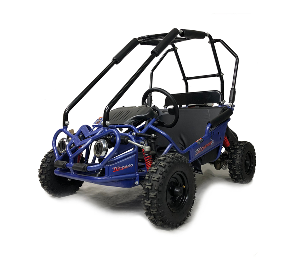Buggy hot sale car kids