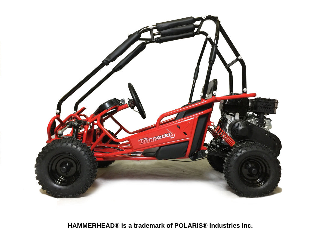 Hammerhead off best sale road buggy